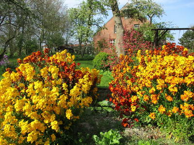 Bild 3 aus  Ferienhof Hohenhenne