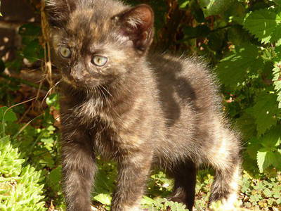 Bild 37 aus  Hof Grüneberg