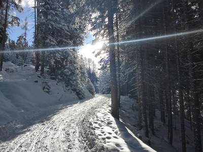 Bild 17 aus  Much's Bergstüberl