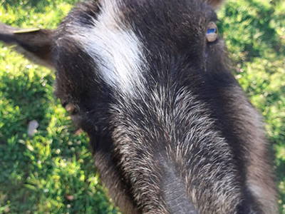 Bild 7 aus  Weberhof