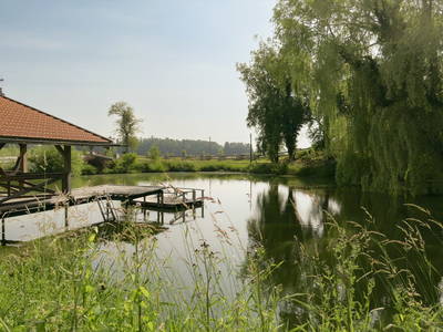 Bild 12 aus  Camping am Hofweiher beim Brunnerhof