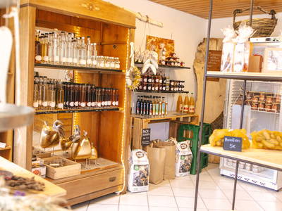 Bild 10 aus  Ferienhof Schwehr