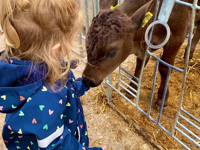 Bild 12 aus  Wendelhof