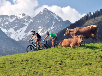 Bild 16 aus  Ferienwohnung Landhaus Waltner