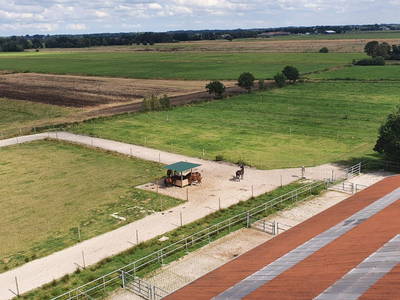 Bild 11 aus  Ferienwohnungen Sund