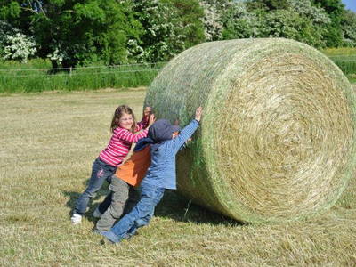 Bild 23 aus  Ferienhof Presener Deichkrone
