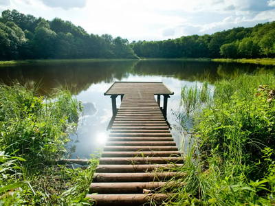 Bild 32 aus  Eifel 17