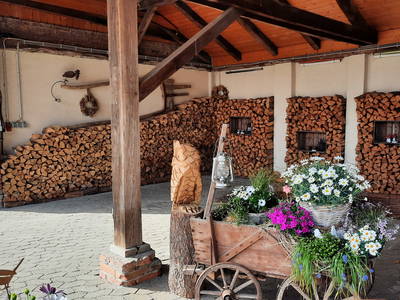 Gästeparkplatz im Carport auf Anfrage