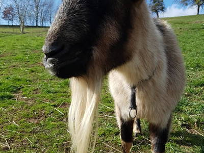 Bild 17 aus  Weberhof