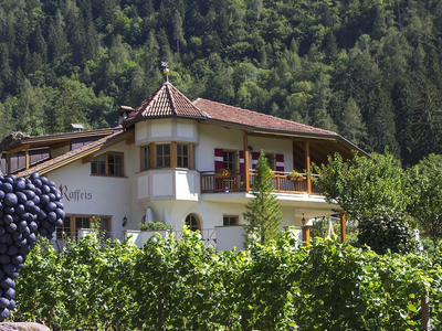 Bild 2 aus  WEINGUT & APARTMENTS WEI TGRUBER    CIN:  IT021051B4HVROK894