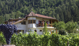 WEINGUT & APARTMENTS WEI TGRUBER    CIN:  IT021051B4HVROK894 aus Meran