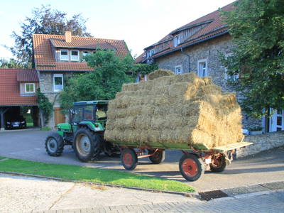 Bild 9 aus  Kaisers Hof - Urlaub auf dem Bauernhof