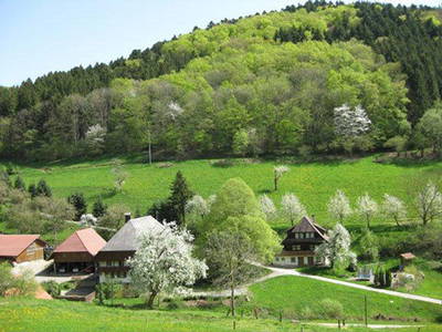 Bild 2 aus  Vorderhof