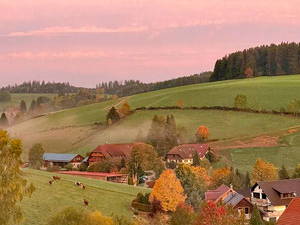 Bild 6 aus  Schweizermichelhof