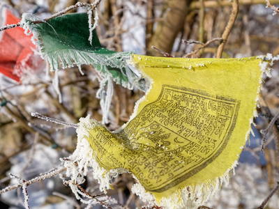 Bild 19 aus  Kunterbunthof – Landurlaub am Künstlerhof in Ostseenähe