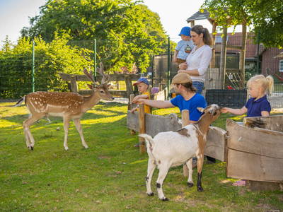 Bild 2 aus  Familienhof Brüning – Erlebnishofurlaub mit Tieren für Familien im Emsland