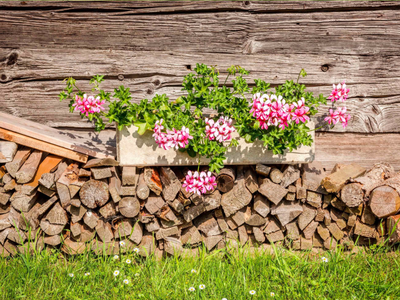 Bild 30 aus  Panoramahof