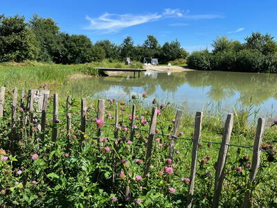Bild 39 aus  Warfthof Wollatz - Nordseeurlaub mit Feinsinn