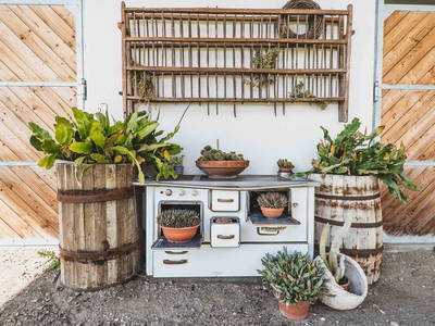 Bild 39 aus  Wiesbauer - Urlaub in Schenna - Südtirol