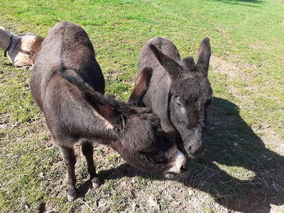 Bild 3 aus  Weberhof