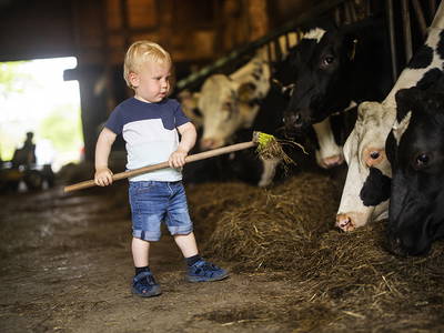 Bild 7 aus  Gut Frielinghausen