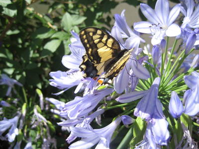 Bild 16 aus  Elsenhöhe