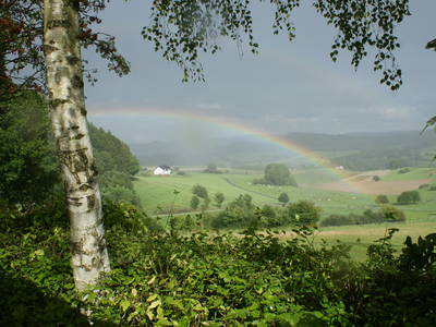 Bild 56 aus  Ferienhof Pulte