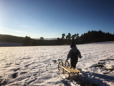 Bild 25 aus  Schelterhof