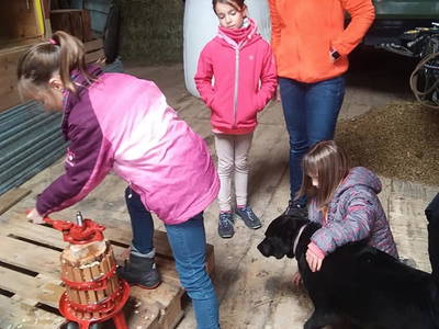 Bild 53 aus  Familien-Bauernhofurlaub im Herzen der Schweiz