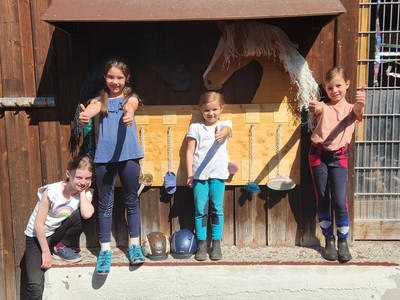 Bild 13 aus  Ferienhof Kober