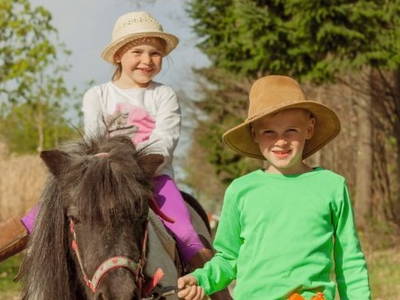 Höhenhof - die Bauernhof Erlebnisoase