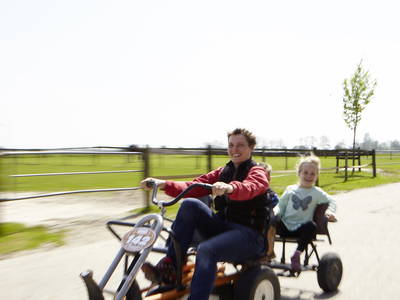 Bild 17 aus  LandSelection Traberhof