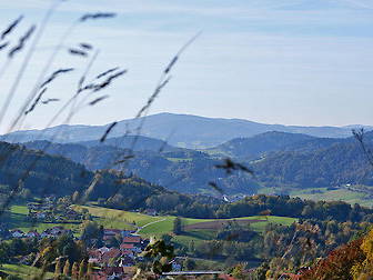 Bild 21 aus  Ferienhof Schmauß