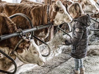 Bild 15 aus  Zillertaler Hofchalets