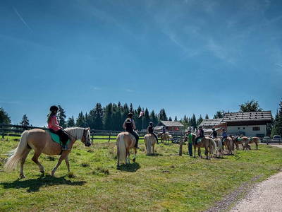 Bild 39 aus  Wietererhof