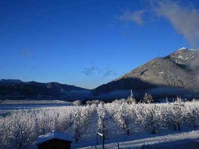 Bild 13 aus  Waldharthof