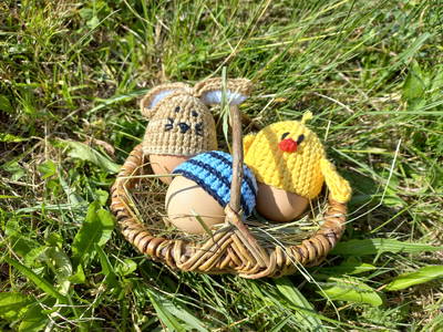 Bild 9 aus  Boznermüllerhof