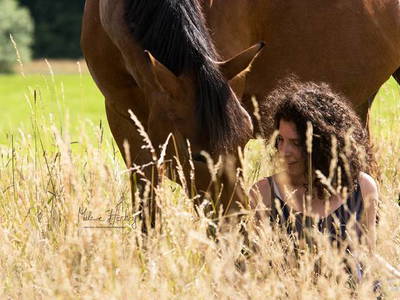 Bild 10 aus  Hof Grüneberg