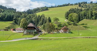 Schlegelhansenhof aus Buchenbach