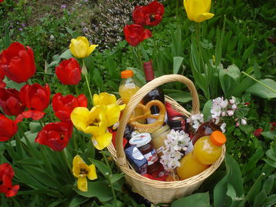 Bild 12 aus  Gästehaus im Lochautal