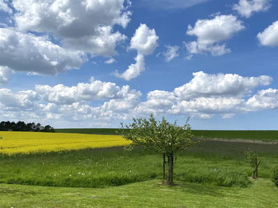 Bild 33 aus  Sömmerhus