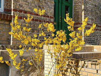 Bild 6 aus  Kunstgut Krahne