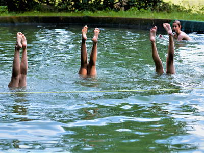 Bild 13 aus  Wieshof