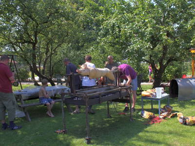 Bild 19 aus  Ommen Ferienhof