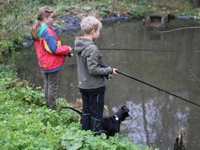 Bild 20 aus  Hof Carmshausen & Pension Hotze