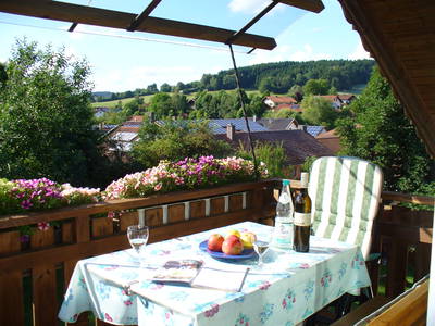 Bild 13 aus  Ferienwohnugen Bruckhuberhof