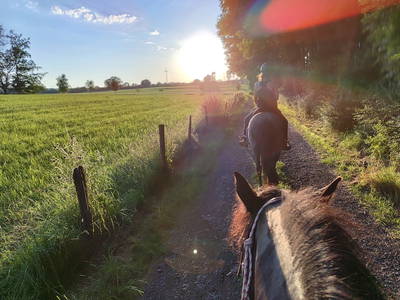 Bild 14 aus  Görgenhof - Gnadenhof für Bauernhoftiere