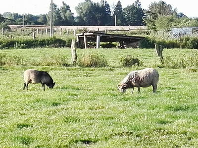 Bild 30 aus  Grenzer Ökohof