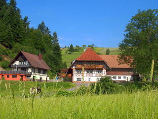 Hochenhof aus Fischerbach