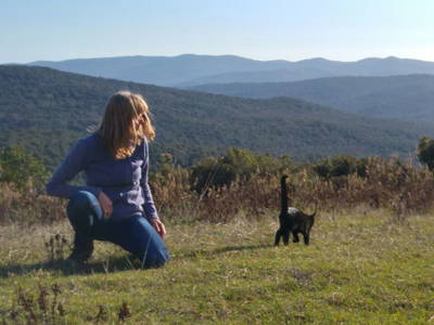 Bild 13 aus  Landhaus in der Toskana